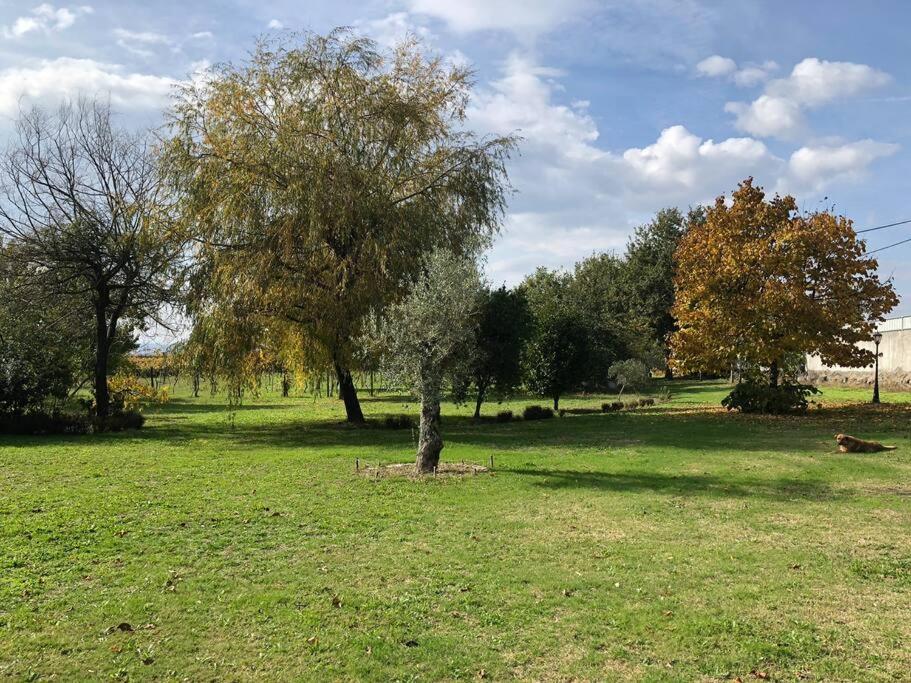 Maison Avec Piscine : Quinta Do Sol Amarante Bagian luar foto